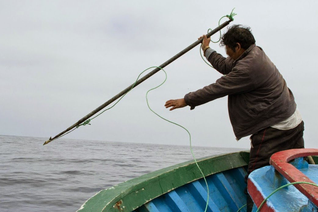 Man Throwing Harpoon